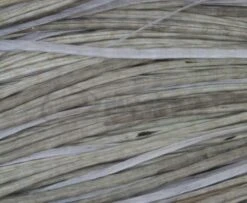 Whiting Pro Grade Saddles - Funky Fly Tying 33 Whiting Pro Grade Saddles - Funky Fly Tying -Fishing Accessories Store Whiting Pro Grade Saddles 4 1