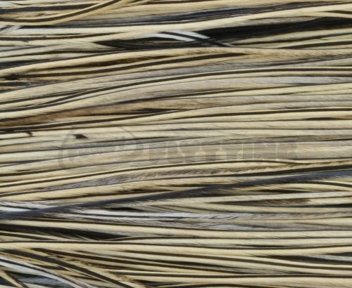 Whiting Pro Grade Saddles - Funky Fly Tying 16 Whiting Pro Grade Saddles - Funky Fly Tying - Image 14