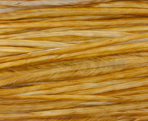 Whiting Pro Grade Saddles - Funky Fly Tying 20 Whiting Pro Grade Saddles - Funky Fly Tying - Image 18