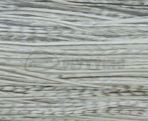 Whiting Pro Grade Saddles - Funky Fly Tying 21 Whiting Pro Grade Saddles - Funky Fly Tying - Image 19