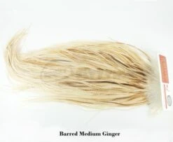 Whiting Silver Grade Whole Rooster Saddle - Funky Fly Tying 18 Whiting Silver Grade Whole Rooster Saddle - Funky Fly Tying -Fishing Accessories Store Whiting Silver Grade Whole Rooster Saddle Barred Medium Ginger