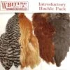 Whiting Soft Hackle Intro Pack - Funky Fly Tying 1 Whiting Soft Hackle Intro Pack - Funky Fly Tying -Fishing Accessories Store Whiting Soft Hackle Intro Pack 1
