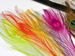 Frodin Feather Packs - Funky Fly Tying -Fishing Accessories Store pc3 fix 1024x