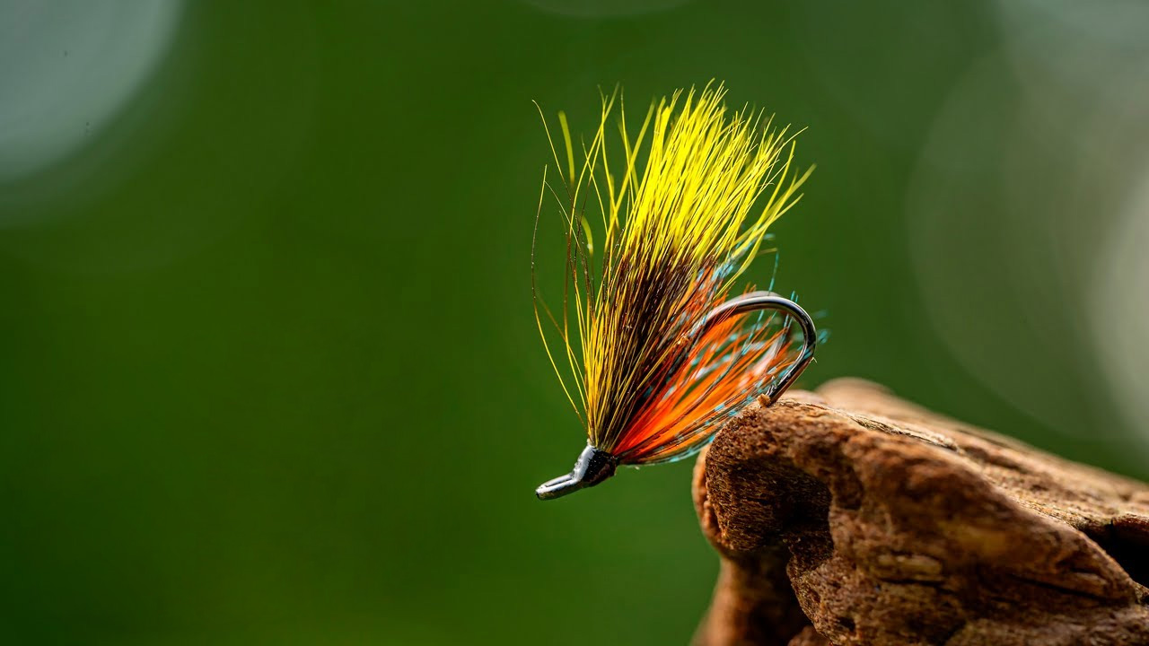 Fishing Accessories Store -Fishing Accessories Store 1